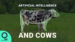 How Dairy Farmers Are Using AI