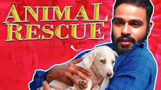 Animal rescue