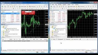 MetaTrader Signals Service  2