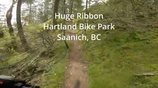 Huge Ribbon at Hartland Bike Park, Saanich, BC