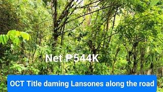 #V189 FARM LOT FOR SALE OCT TITLE ₱544K small cut Lansonesan 30 puno,1km to main hiway Petron & 7/11