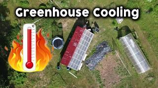 Beat the Heat: Greenhouse Cooling Tips