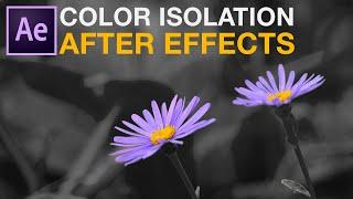 Leave Color or Color Isolation in adobe after effects tutorial