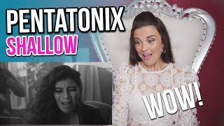 Vocal Coach Reacts to Shallow - Pentatonix