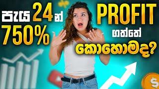 පැය 24න් 750% ගත්තේ කොහොමද? | SL Trading Academy