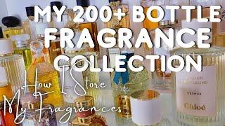 My 200+ Bottle Perfume Collection | How I Store My Fragrances