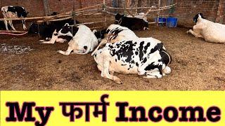 My फार्म Income//मै फार्म से कितना कमाता हूँ/best farm bihar/small farm bihar