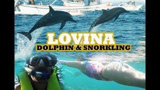 Lovina Activity Dolphin and Snorkling