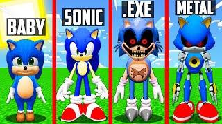 What happened with BABY SONIC in MINECRAFT animation SONIC.EXE SILVER SHADOW TAILS AMY ROSE KNUCKLES