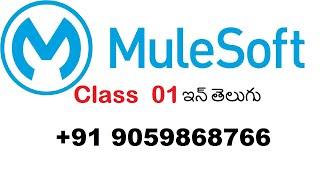 Mulesoft Class 01 recorded video in telugu on 5th july 2021||