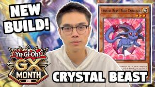 ES IST KAPUTT! Crystal Beast Deckprofil! | GX-Monat | März 2025