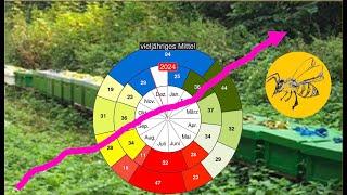 16.12.'24 Grünlandtemperatur und Phaenologie - warum Imker einen grünen Daumen brauchen.