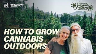 Why Should You Grow Cannabis Outdoors? How to Grow Cannabis Outdoors