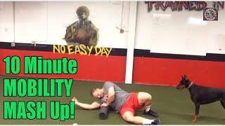 10 Minute Mobility MASH Up! (Doberman Appearance)