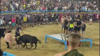 COGIDA Y REVOLCONES EN LA PLAZA DE TOROS