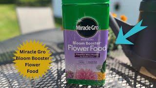 Miracle-Gro Water Soluble Bloom Booster Flower Food Review