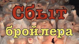 Сбыт бройлера / Выращивание содержание  бройлера кобб 500 в домашних условиях / бизнес на бройлерах