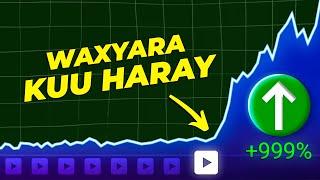 Shuruudaha Lacag Ka Sameynta Youtube - Make Money on Youtube (Full Youtube Guide)