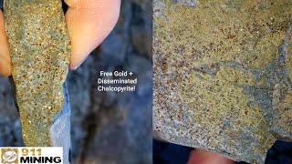 Disseminated Gold & Chalcopyrite Over A 2Km Long Exposure!