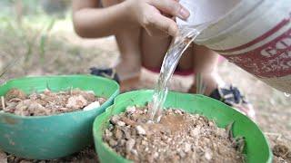 How to make a very simple planter from a ball | Make a simple home planter