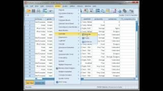 Compute correlations in SPSS: Pearson's r