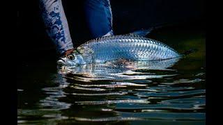 BABY TARPON AND SNOOK FISHING - Florida Keys - Saltwater Experience