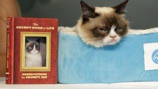 Grumpy Cat's Latest Book Signing in New York (featuring Crazy Cat Lady)