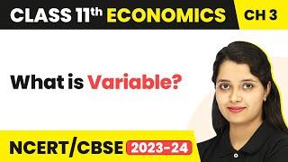 Variable - Organisation of Data | Class 11 Economics - Statistics