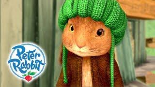 Peter Rabbit - Benjamin Bunny | Rabbits are Brave | Cartoons for Kids 