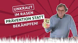 UNKRAUT im Rasen  Prävention statt bekämpfen