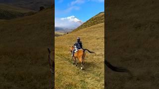 Horseback Riding in Cotopaxi National Park