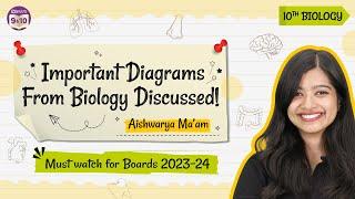 Important Diagrams from Biology for Class 10 | Must watch for Boards 2023-24