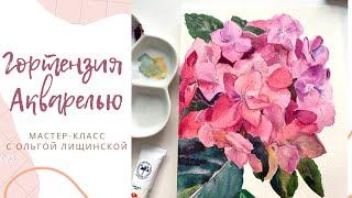 ГОРТЕНЗИЯ АКВАРЕЛЬЮ | Подробный урок