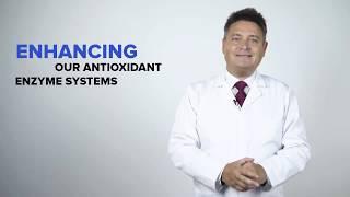 Antioxidant H-500 one of the best protection against oxidative stress