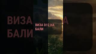 Виза D12 на Бали