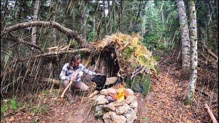 I Built a Survival Shelter in the Woods with an Axe - Bushcraft Camping in the Rain, Campfire
