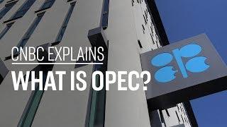 What is OPEC? | CNBC Explains