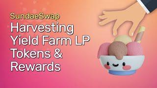 SundaeSwap: Harvesting Your Yield Farming & Re Staking Your LP Tokens