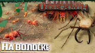 СБОР УРОЖАЯ 3.1 Безумие - Empires of the Undergrowth #5