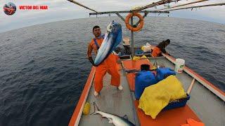 Increíble Pesca de Perico(Dorado) Hombre vs Tiburón