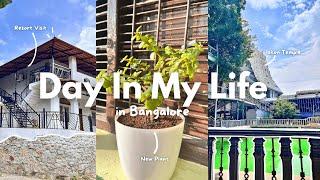 Day in my life vlog ️ 🪴 ft. Bangalore life as a student and solopreneur