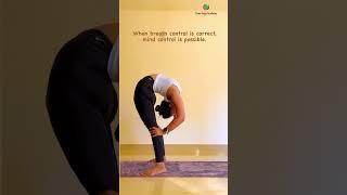 Back bending pose| Focus on your breath |  #yogaurmi #yoga #yogalife #yogaasana #yogawithurmipandya