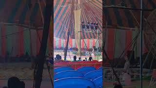 #mela #circus #circusaroundtheworld #circusperformance