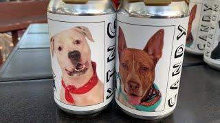 Bradenton brewery features dogs up for adoption on beer cans