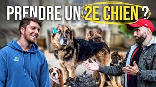 "J'ai un chien, j'en veux un deuxième !" - ft. @RomainLanéry