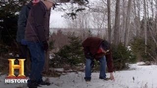 The Curse of Oak Island: Meet Dave Blankenship | History