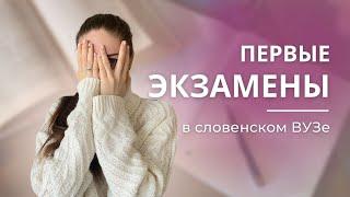 Экзамены в словенском ВУЗе. Процесс обучения в Словении на магистратуре