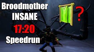 Broodmother Speedrun in 17:20 (TAS)