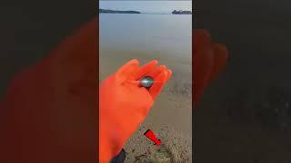 FOUND SEXY BOTTLE CAP ON BEACH #shorts best finder METAL DETECTOR 2022