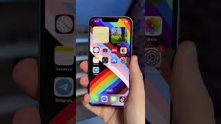 Последний iPhone или последний Android?